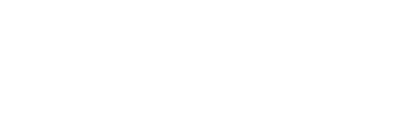 Logo Desjardins - Partenaire principal